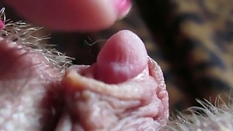 Intense Close-Up Of My Throbbing Clit Tip In High Definition