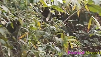 A Wild Encounter In The Countryside As A Passionate Ex-Lover Has Intense Sex With A Local Girl, Culminating In An Explosive Climax